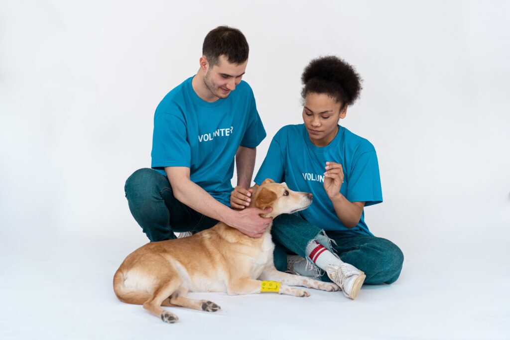 emotional support animal letter California