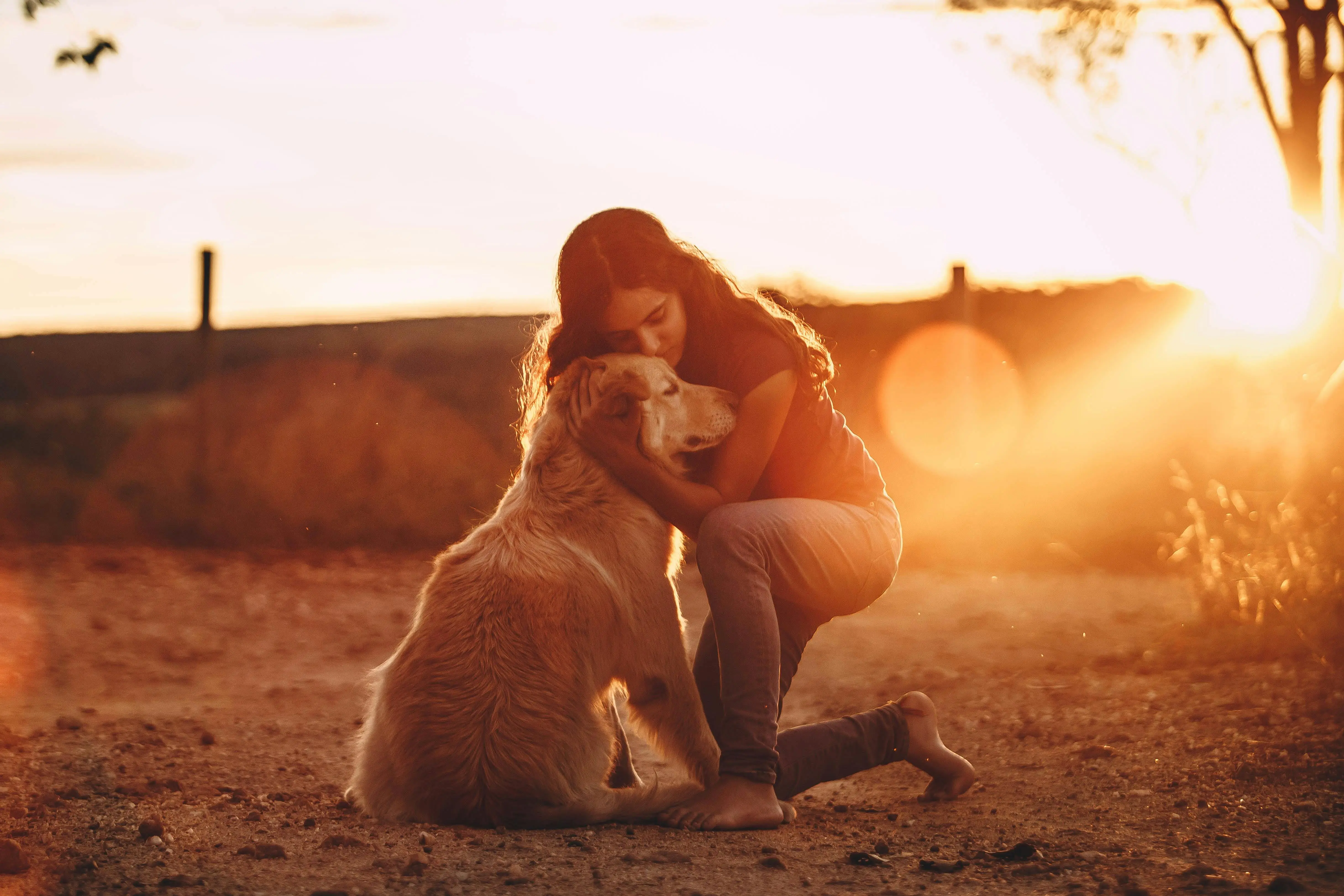 Emotional support animal letter