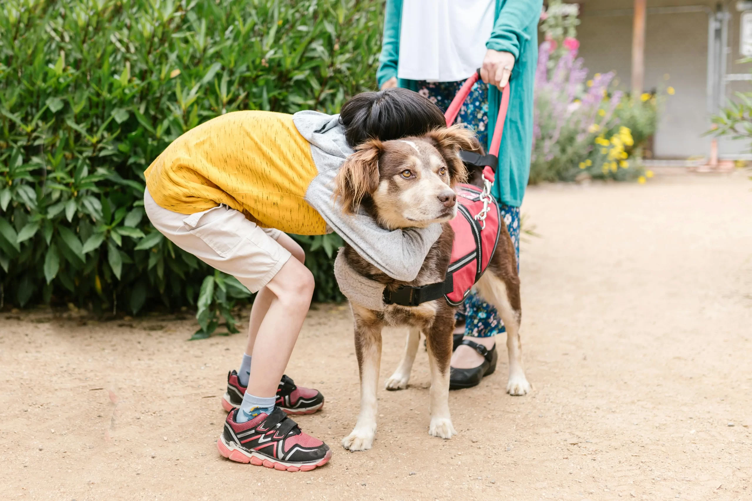 Emotional Support Animal Letter