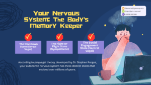 how your nervous system stores stress