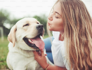 emotional support animal letter California