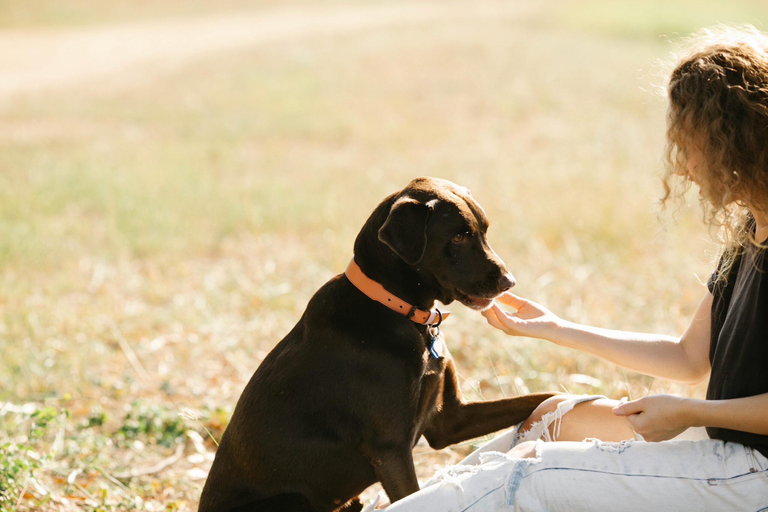 How Emotional Support Animals Restore Mental Health
